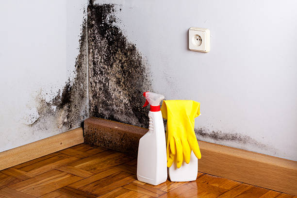 Best Residential Mold Inspection & Testing  in Miles, TX